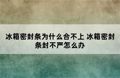 冰箱密封条为什么合不上 冰箱密封条封不严怎么办